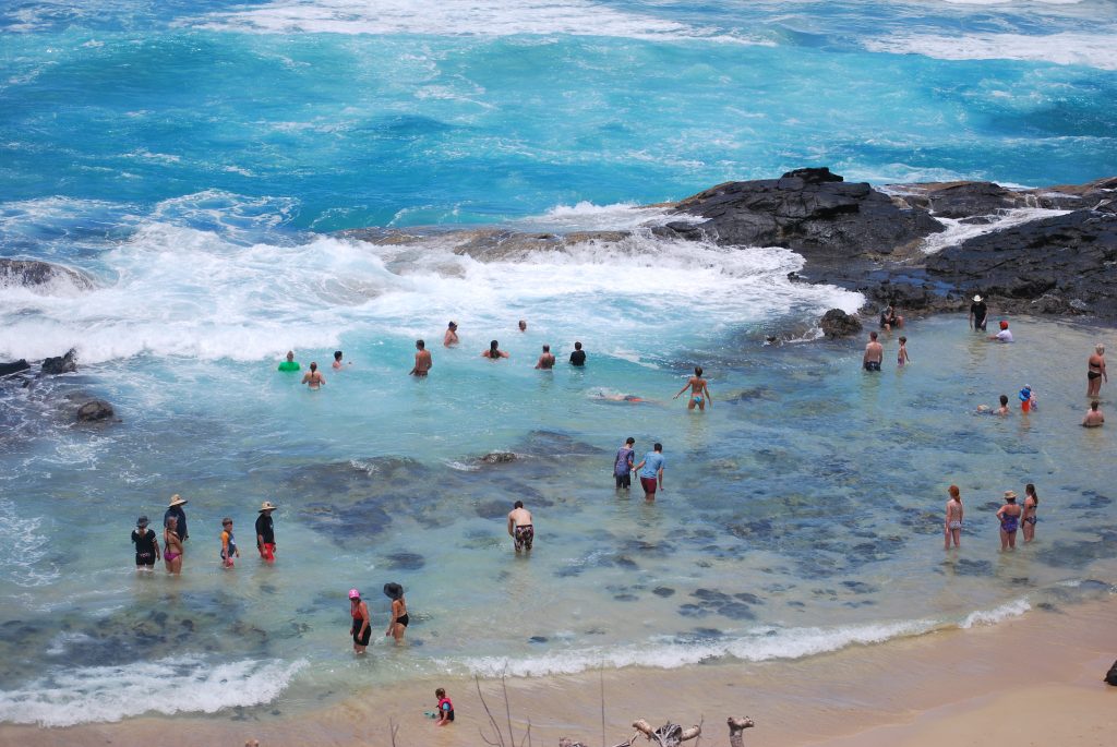 Fraser Island Association membership